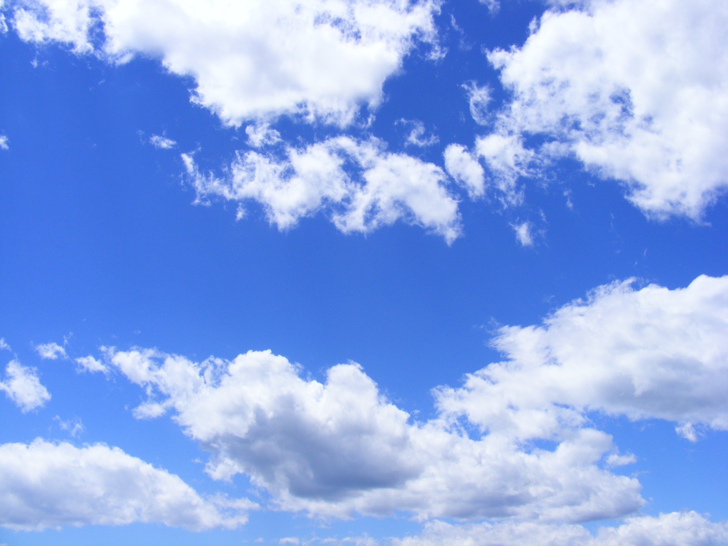 An image of the Gooogle Cloud Skills Boost project.